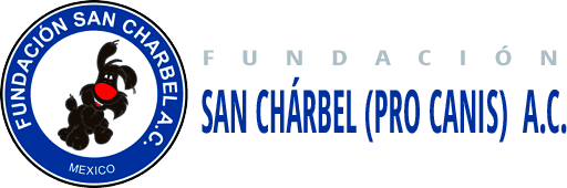 Fundación San Charbel – Adopta una mascota